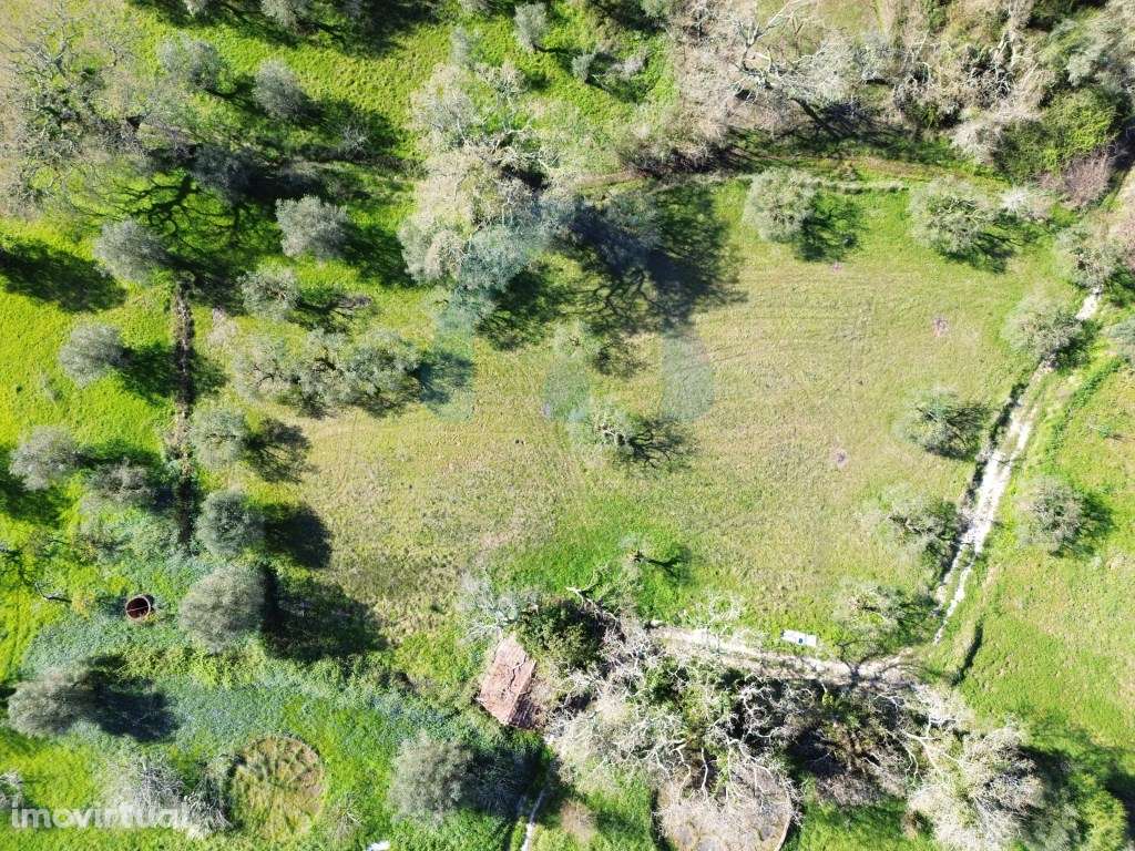Terreno Campestre com Viabilidade de Construção - Pombal - Grande imagem: 4/9