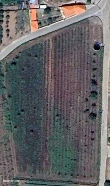 Terreno em boa localização - Grande imagem: 3/3