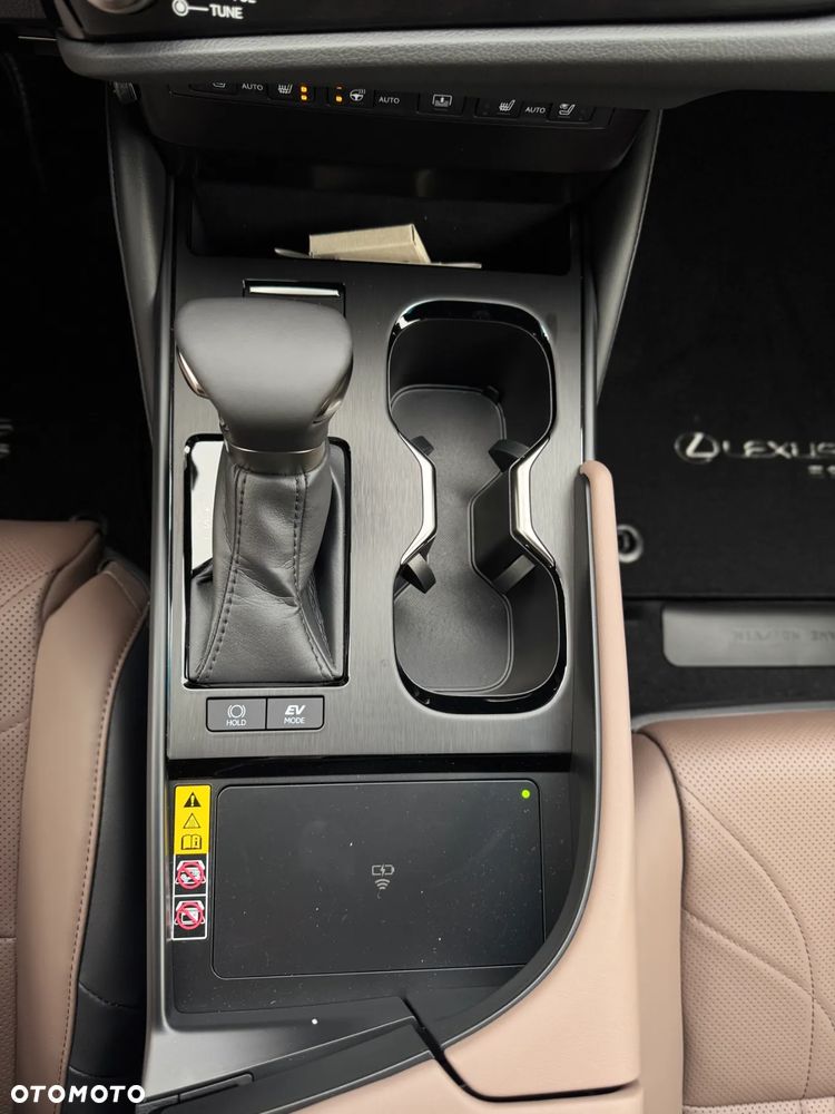 Lexus ES 300h Omotenashi - 16