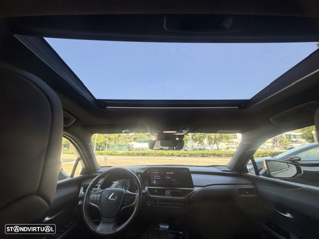 Lexus UX 250h - 40