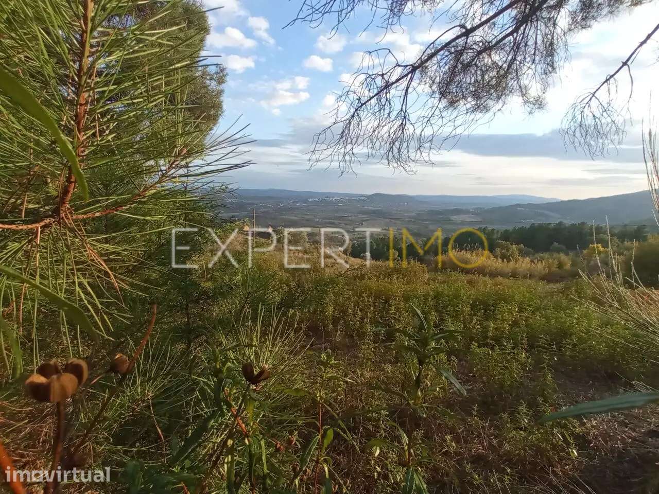 QUINTA EM SOCALCOS, paisagismo e local ideal para turismo - Guarda - Grande imagem: 5/25