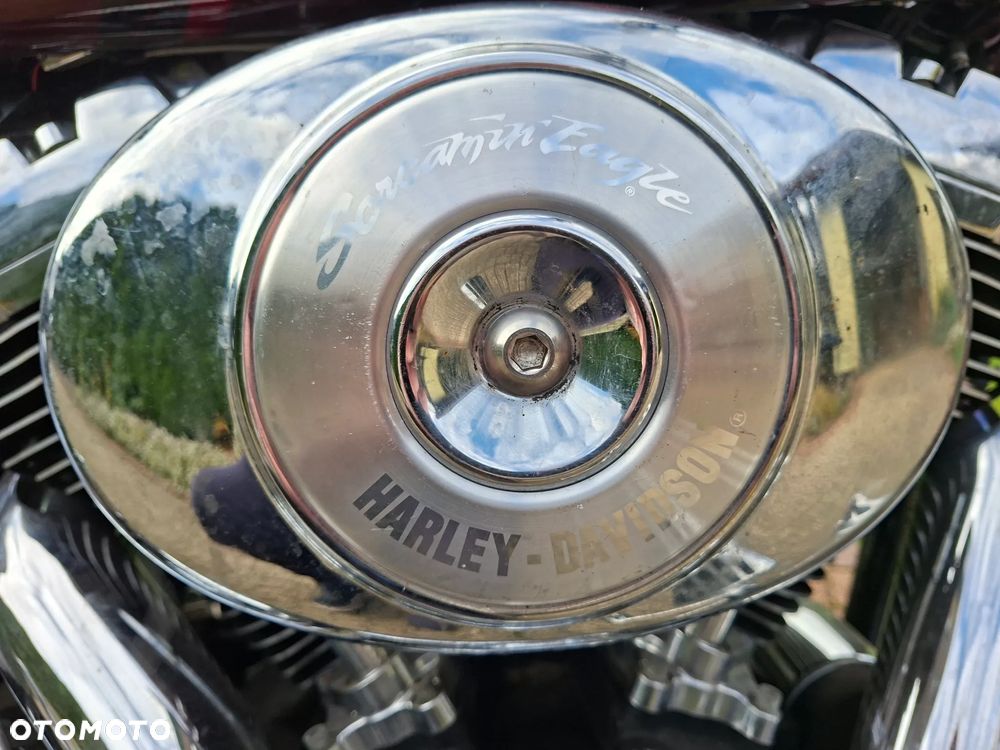 Harley-Davidson Softail - 7