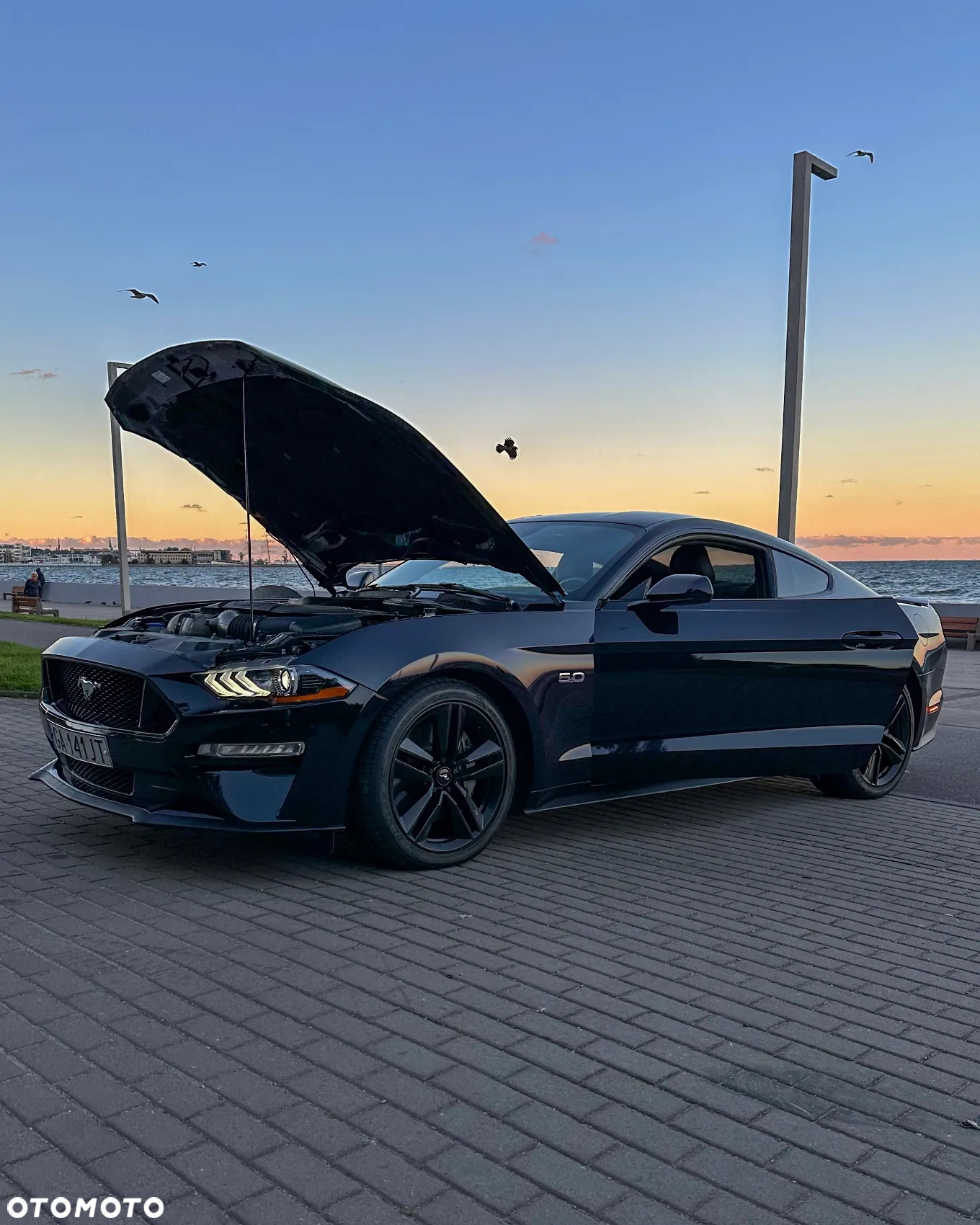 Ford Mustang Fastback 5.0 Ti-VCT V8 Dark Horse - 10