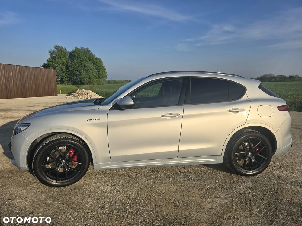 Alfa Romeo Stelvio 2.0 Turbo Veloce Q4 - 1