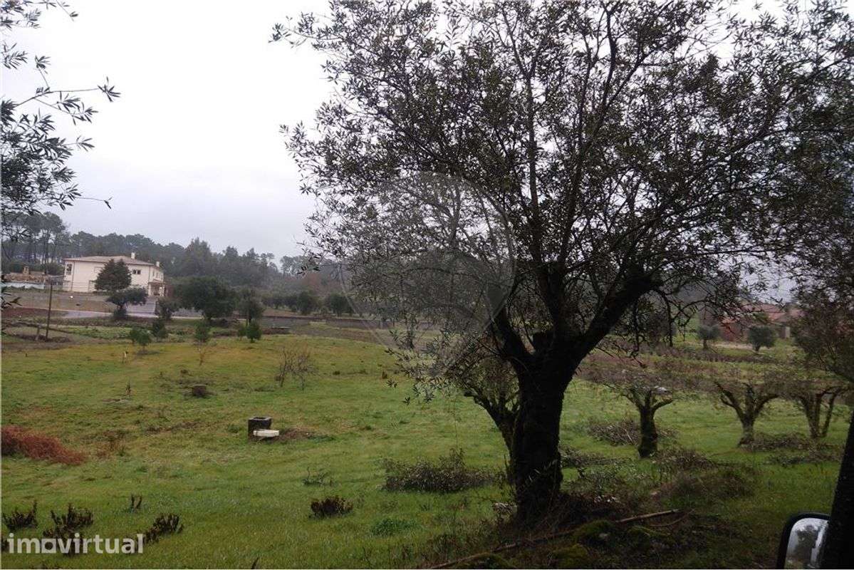 Terreno agrícola em Soucide - Grande imagem: 2/4