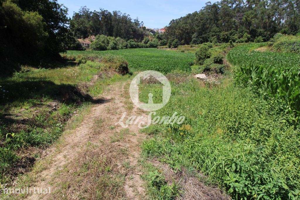 Terreno Agrícola c/21.000 m2 em Junqueira, Vila do Conde - Grande imagem: 3/6