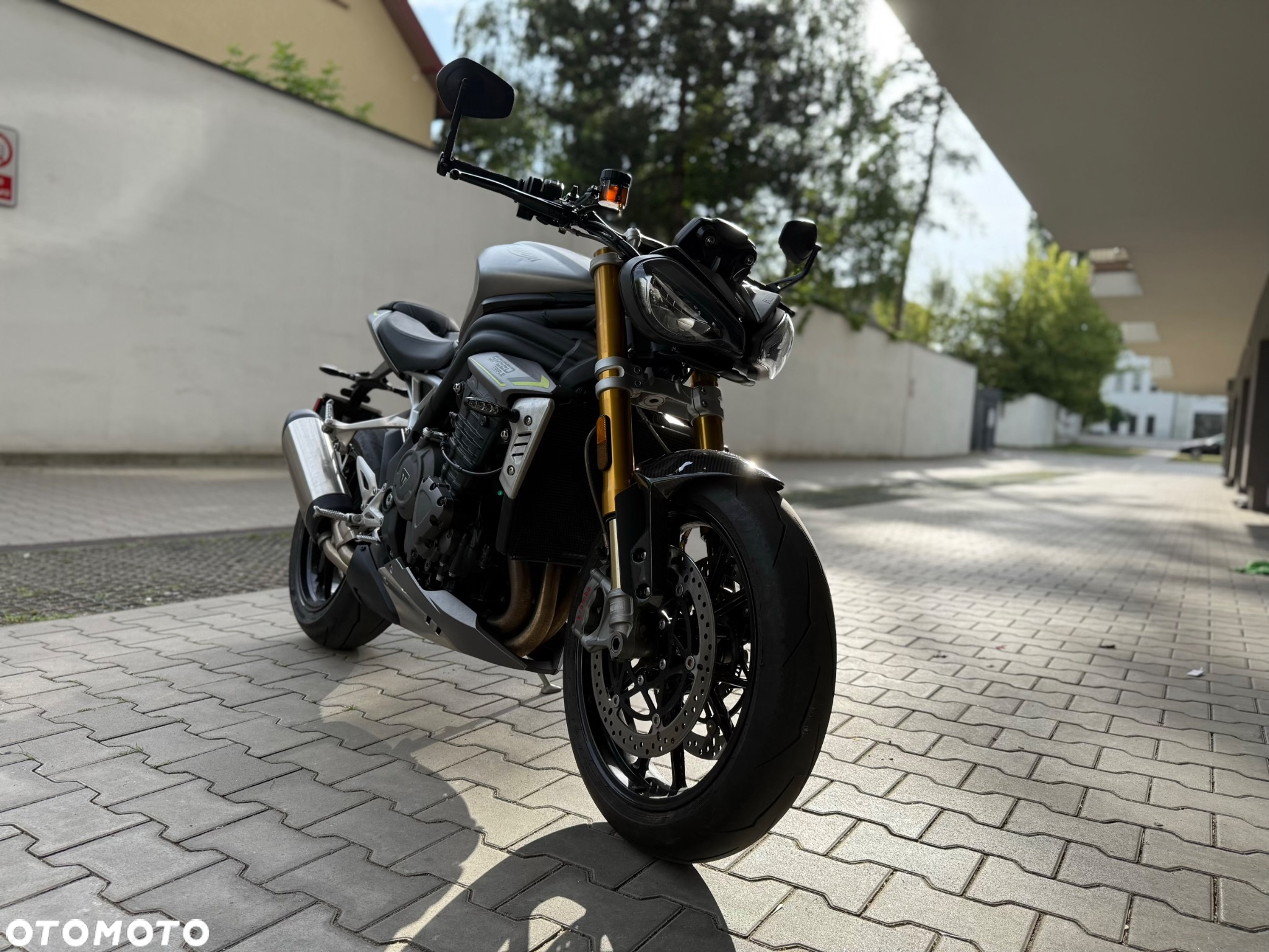 Triumph Speed Triple - 8