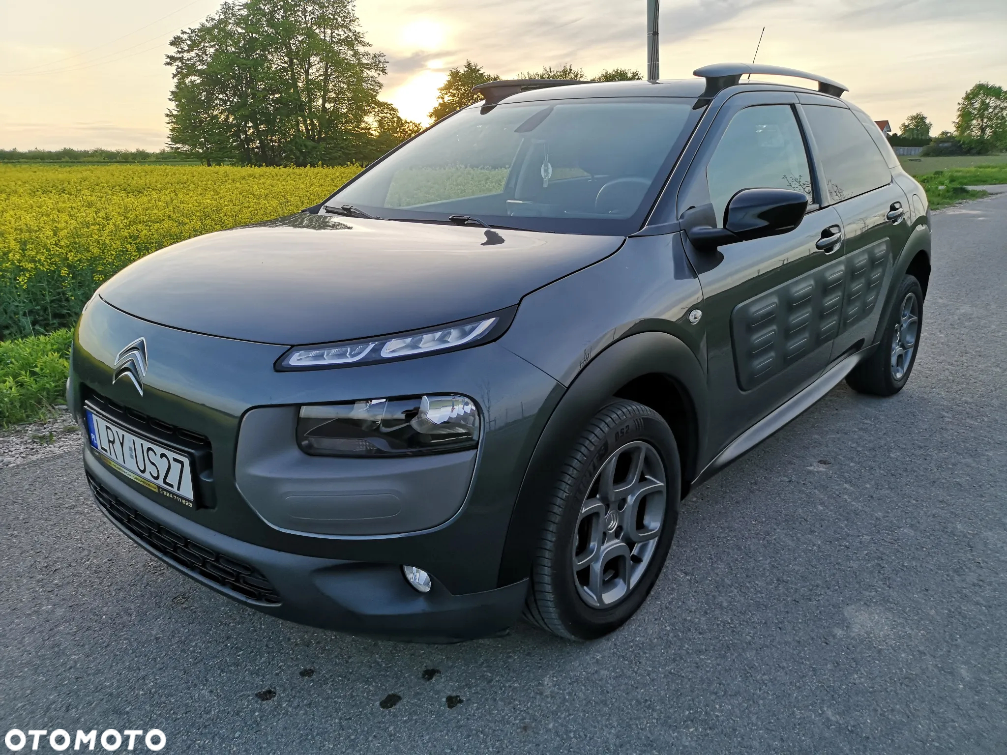 Citroën C4 Cactus 1.2 PureTech Shine Edition S&S ETG - 21