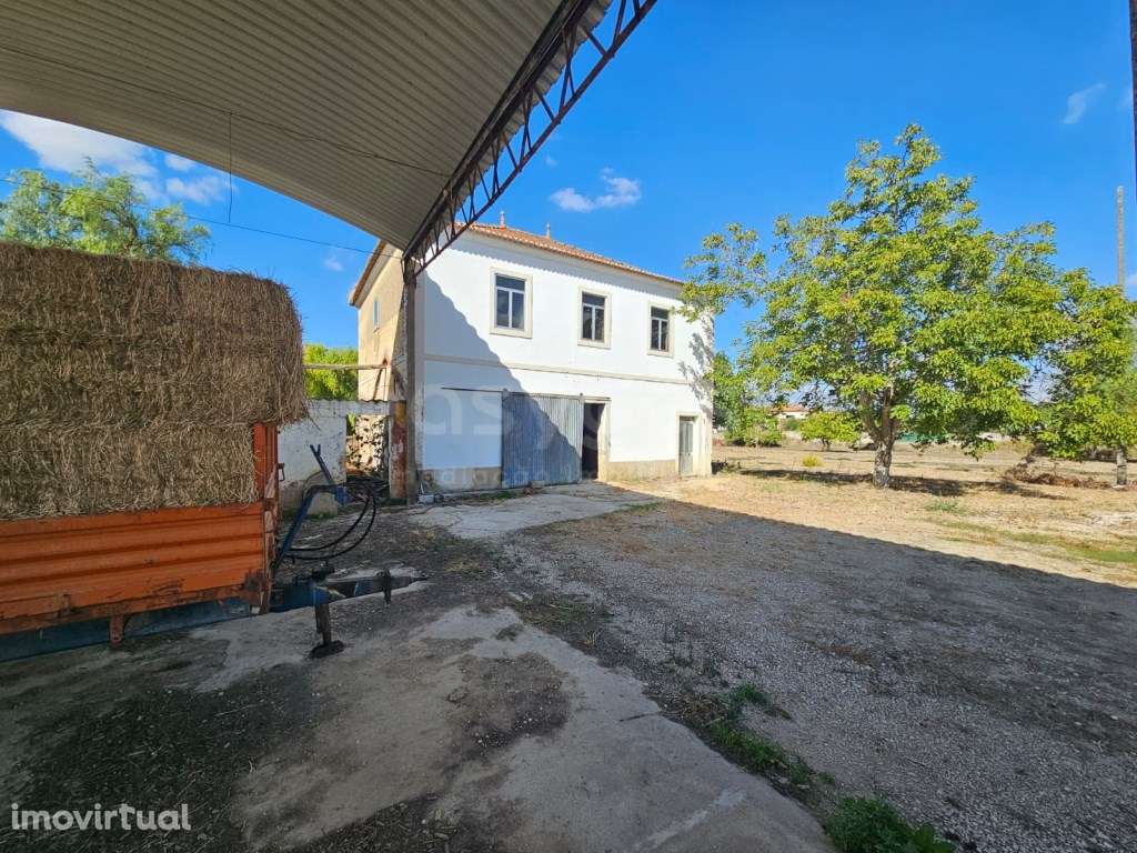 Quinta em Torres Novas com projeto de remodelação junto ao Rio Almonda - Grande imagem: 3/38