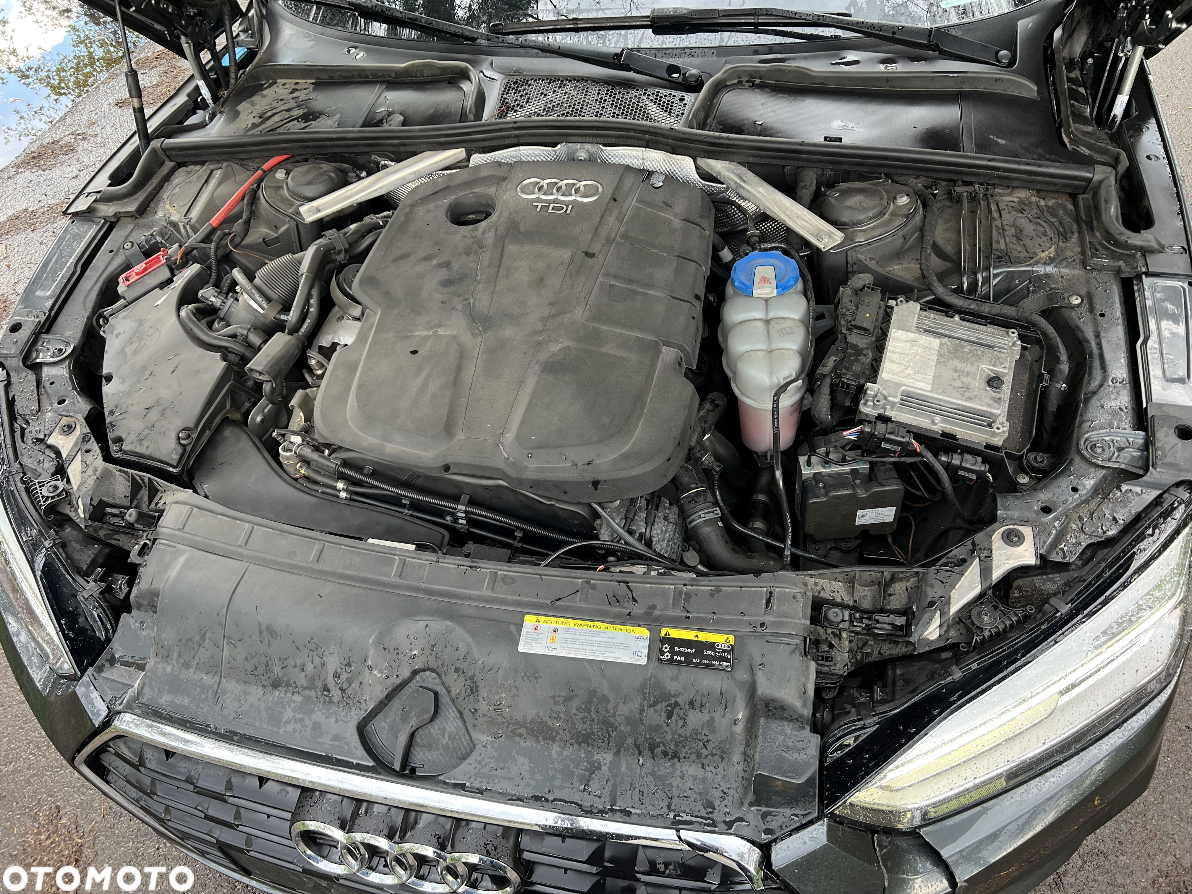 Audi A5 2.0 TDI DPF (clean diesel) - 5