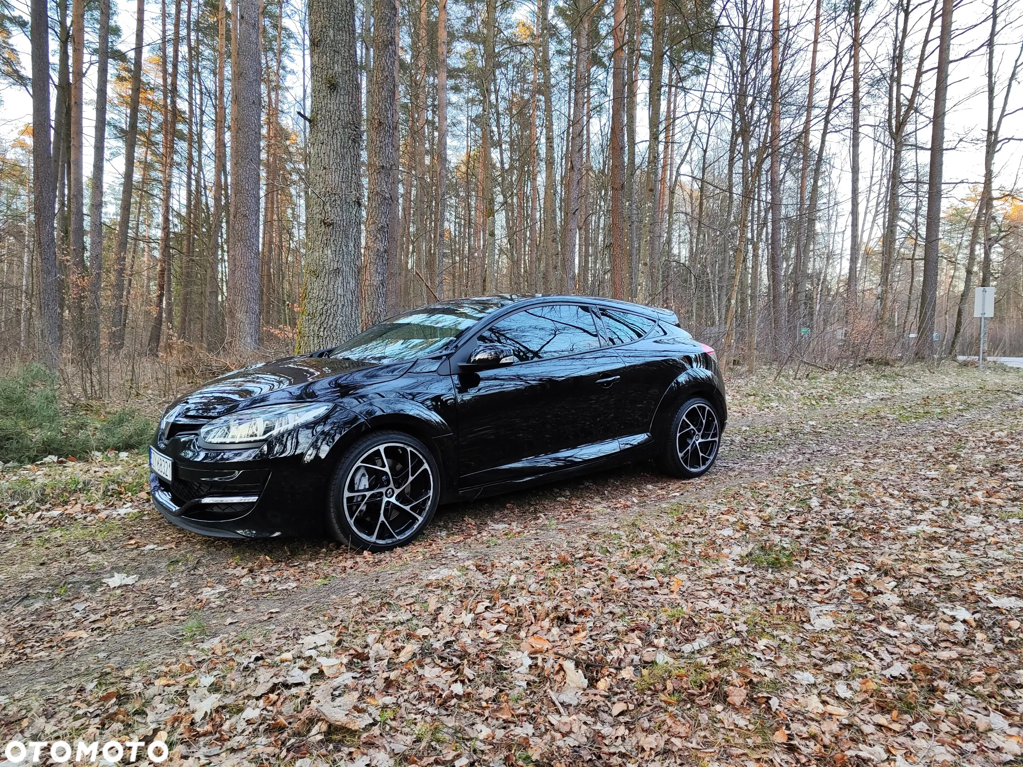 Renault Megane R.S EU6 - 4