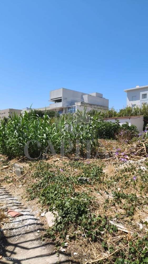 Terreno de 2.000 m2 na Ajuda com elevado potencial de construção. - Grande imagem: 5/5