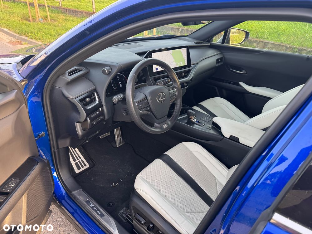 Lexus UX 300h F Sport - 14
