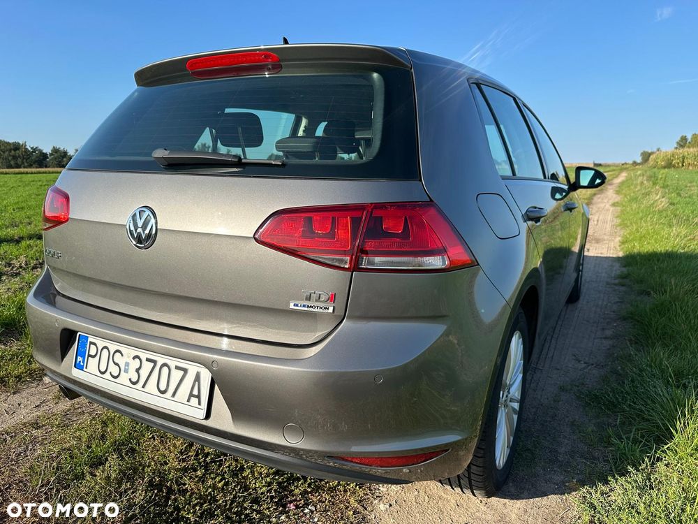 Volkswagen Golf 1.6 TDI BlueMotion Comfortline - 8