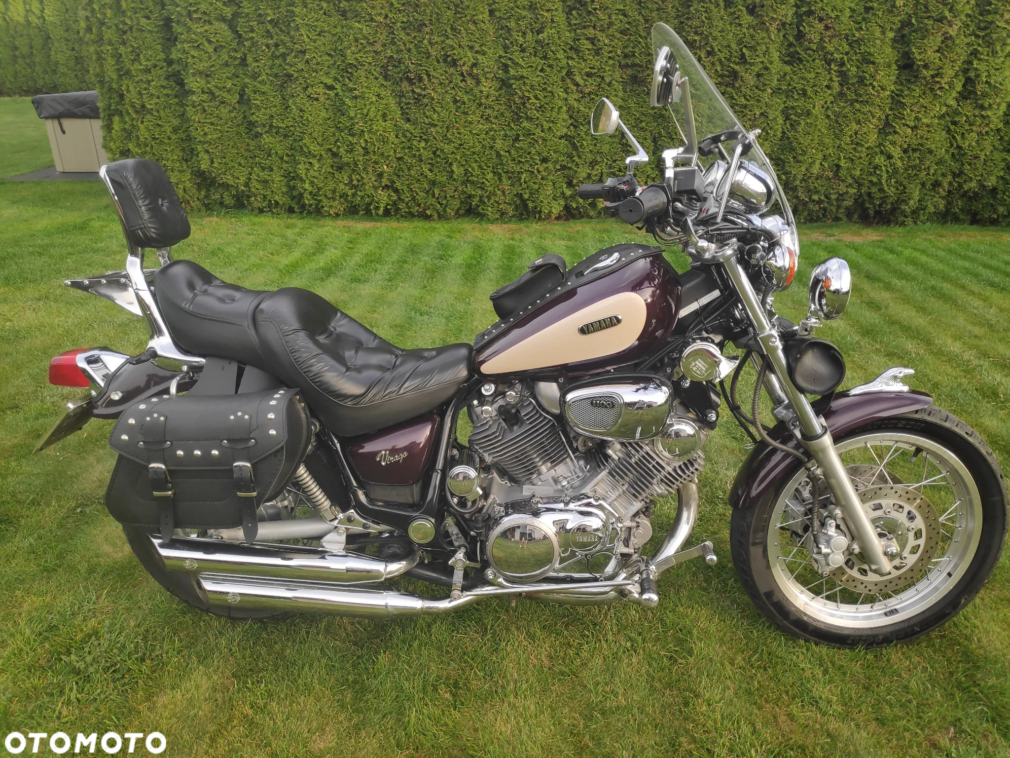 Yamaha Virago - 3