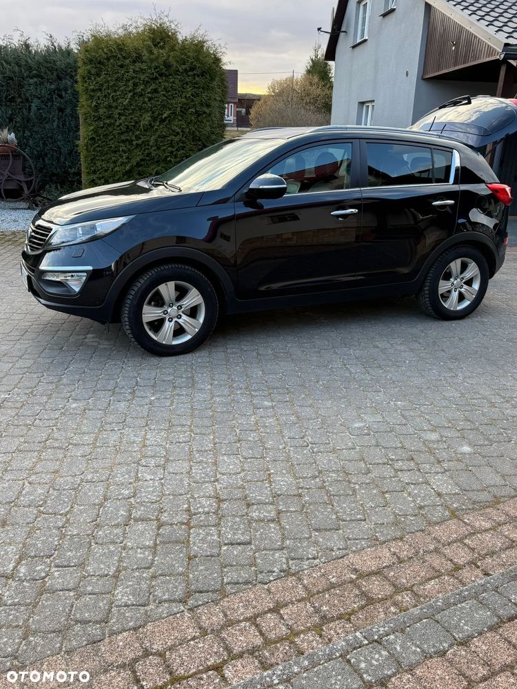 Kia Sportage - 1