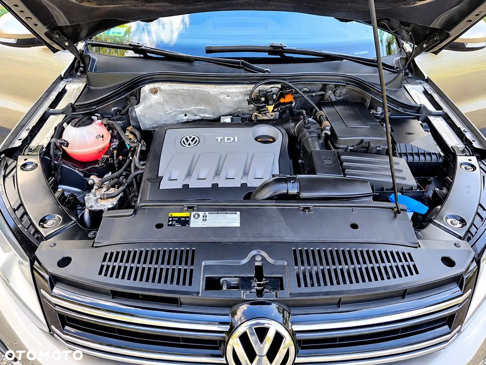 Volkswagen Tiguan - 21