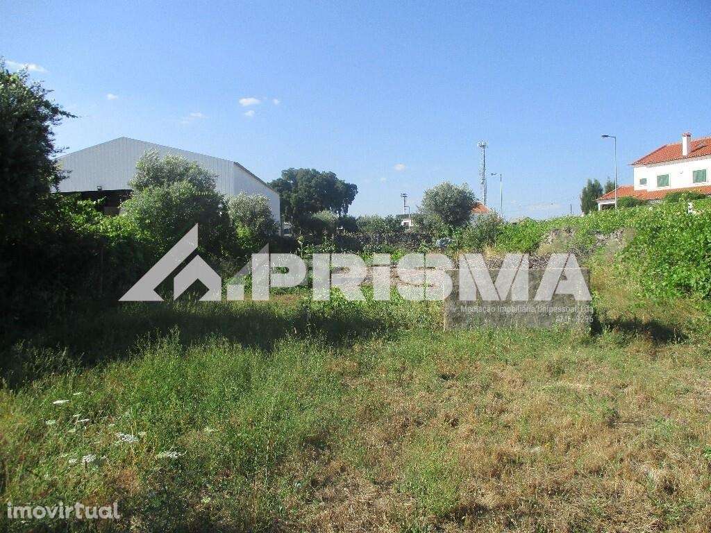 Terreno Rústico para venda em Alcains, Castelo Branco - Grande imagem: 4/7