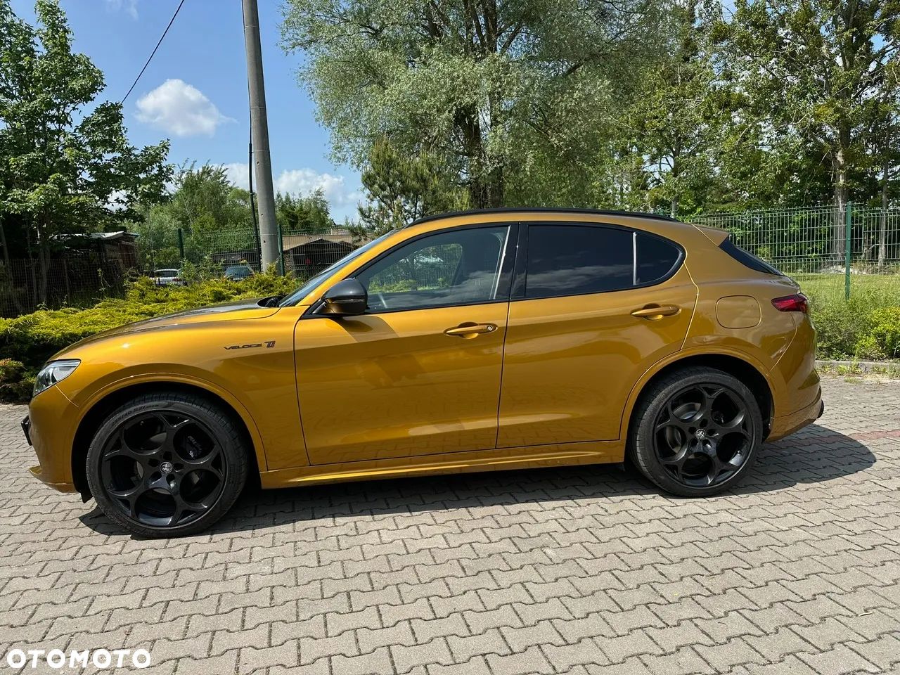 Alfa Romeo Stelvio 2.0 Turbo Veloce TI Q4 - 1