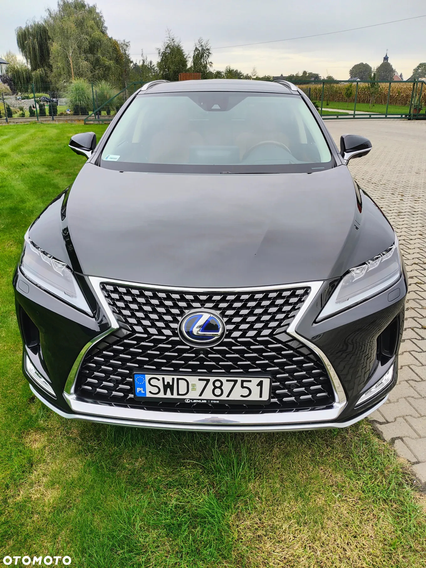 Lexus RX 450h Omotenashi - 4