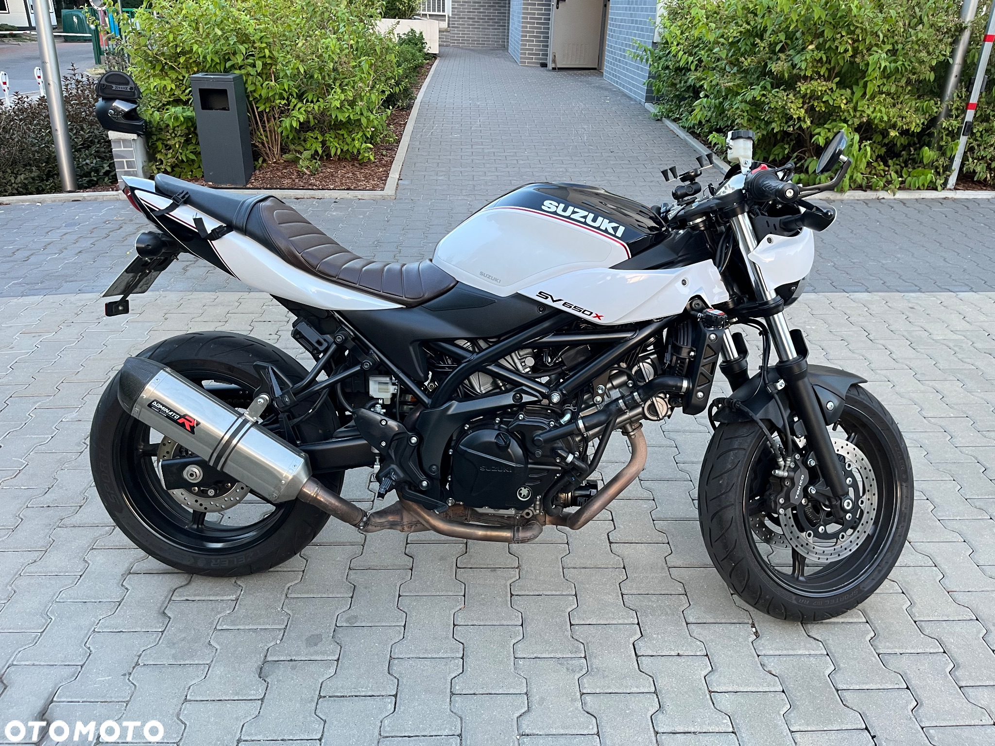 Suzuki SV - 4