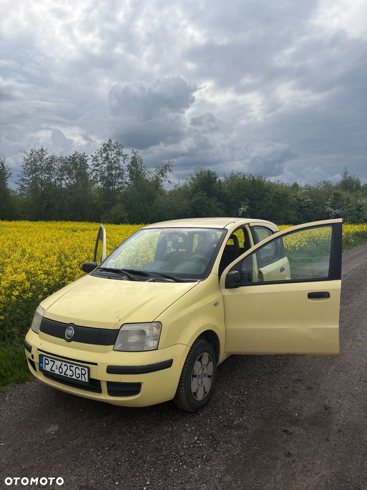 Fiat Panda - 2