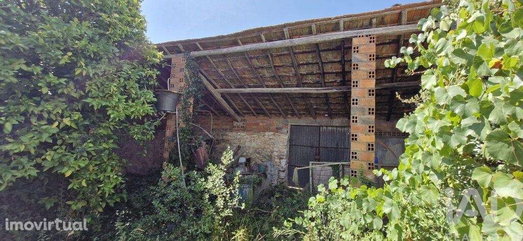 Quinta T3 em Almoster de 2364,00 m2 - Grande imagem: 4/30