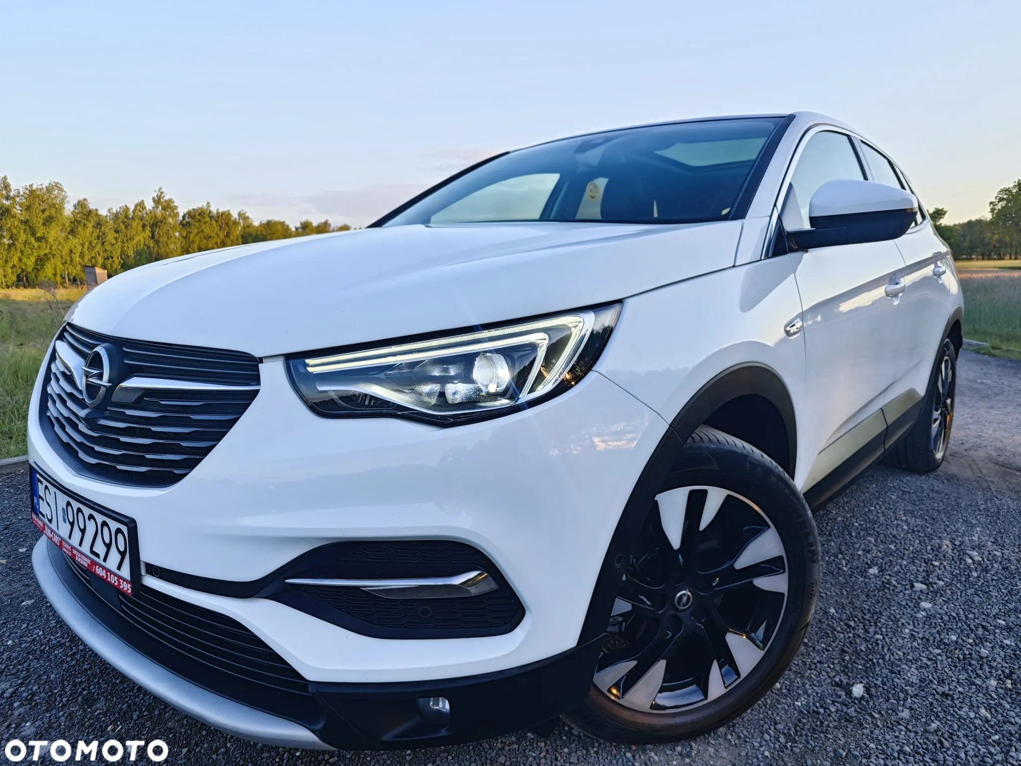 Opel Grandland X 2.0 D Start/Stop Automatik Business INNOVATION - 2