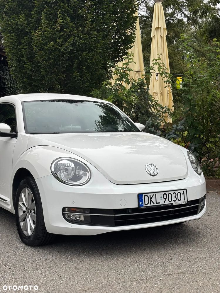 Volkswagen Beetle - 6