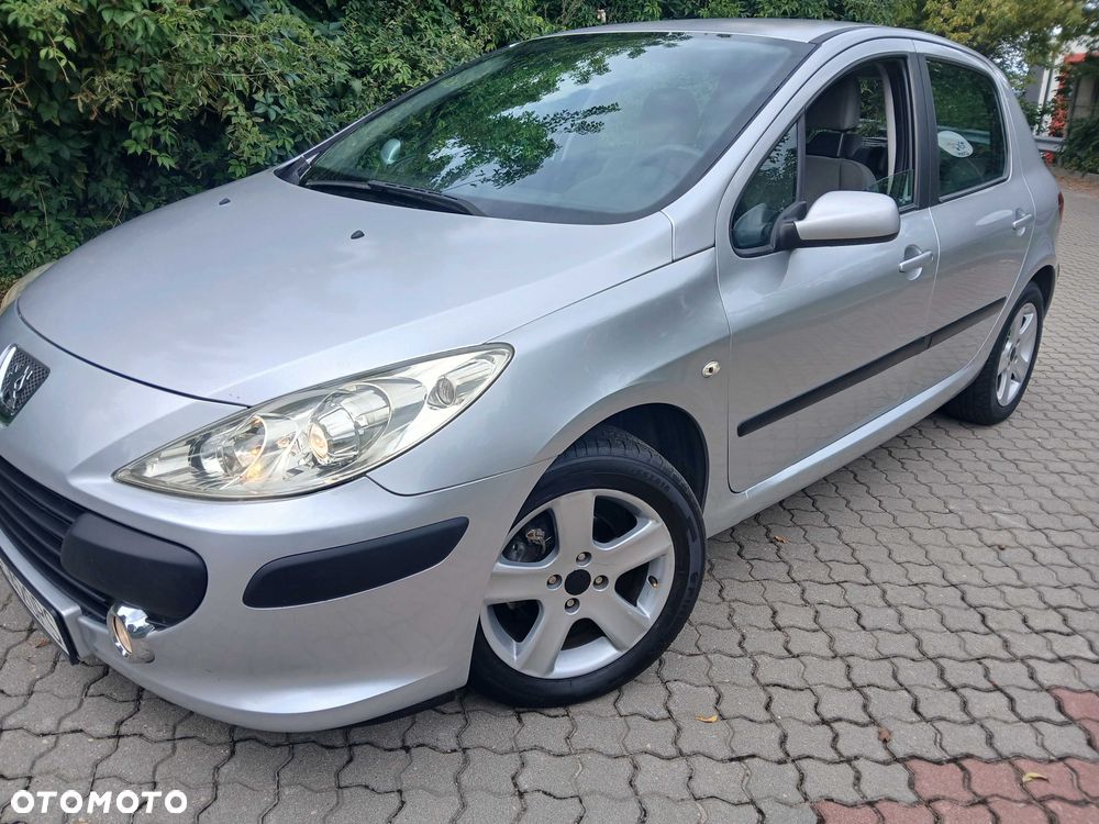 Peugeot 307 - 8
