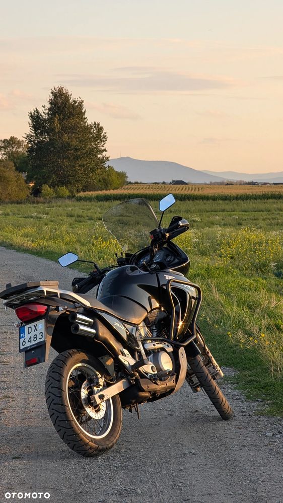 Honda Transalp - 6
