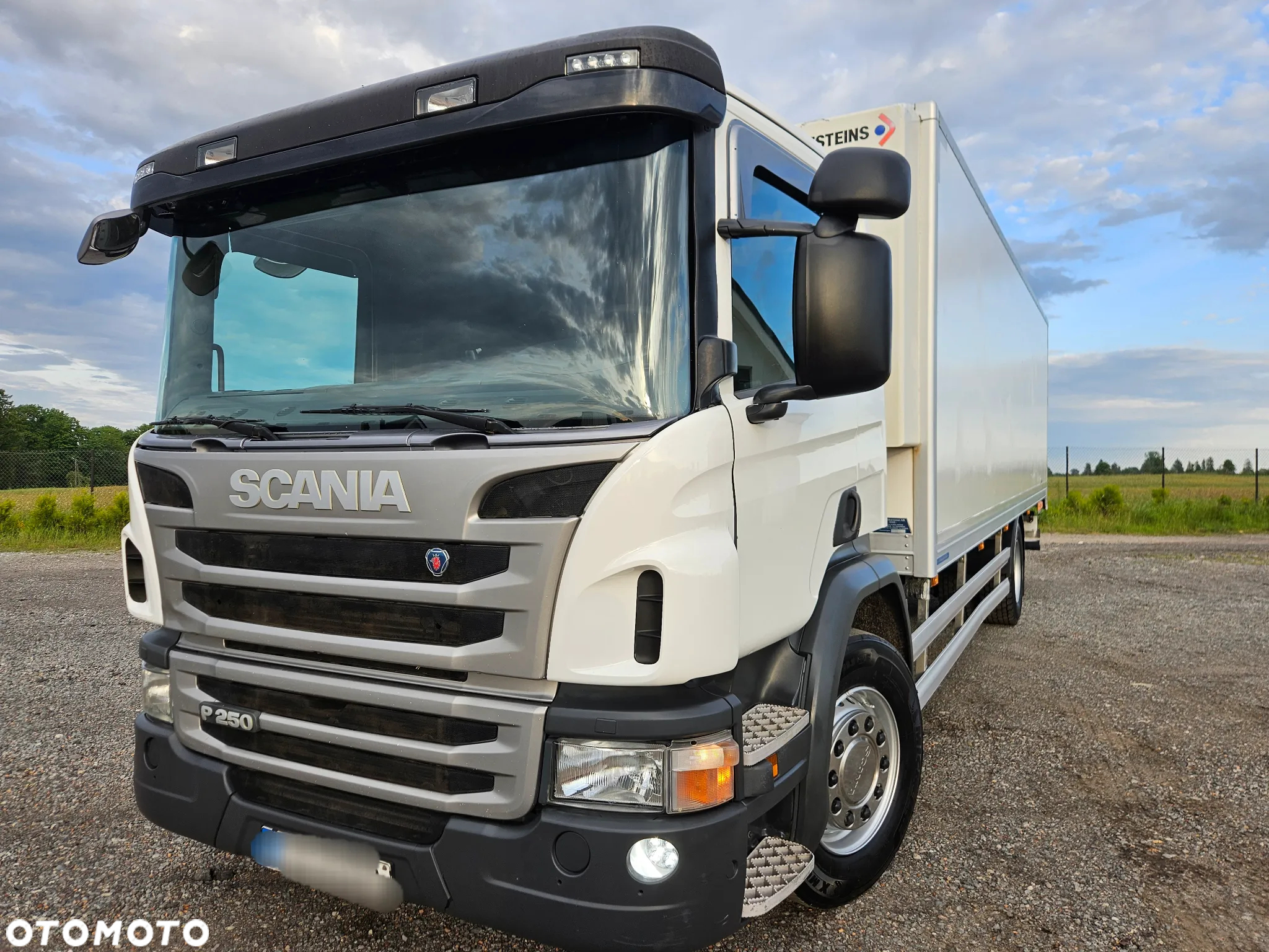 Scania P 250 - 15