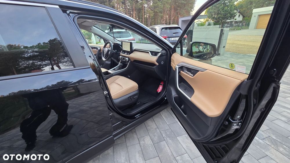 Toyota RAV4 2.5 Hybrid Executive 4x2 - 25