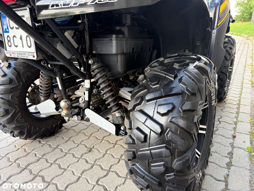 Kawasaki Brute Force - 12