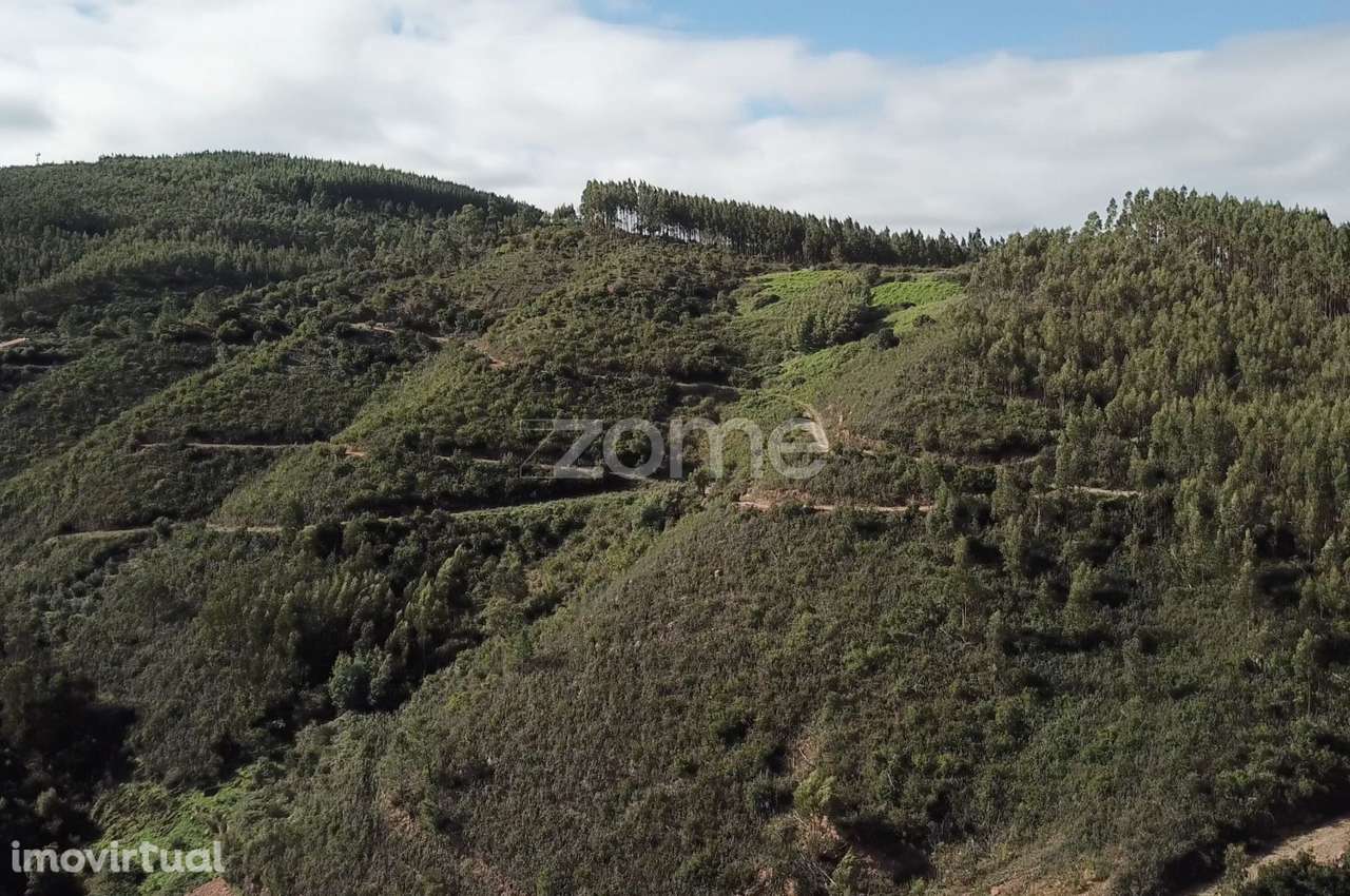 Terreno rústico em Alferce, Monchique - Grande imagem: 4/15