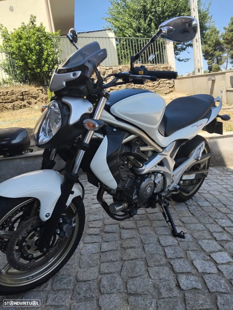 Suzuki SFV Gladius - 5