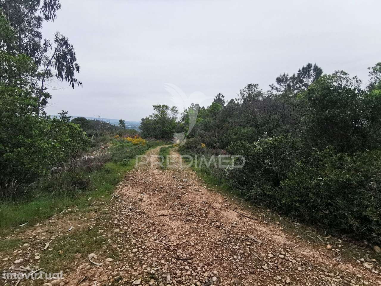 Terreno Rustico - Grande imagem: 2/30