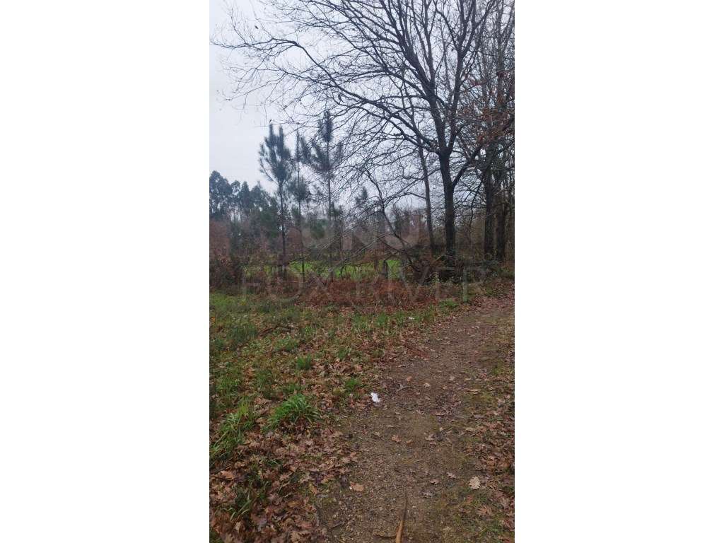 Terreno - Ganfei, Valença - Grande imagem: 5/10