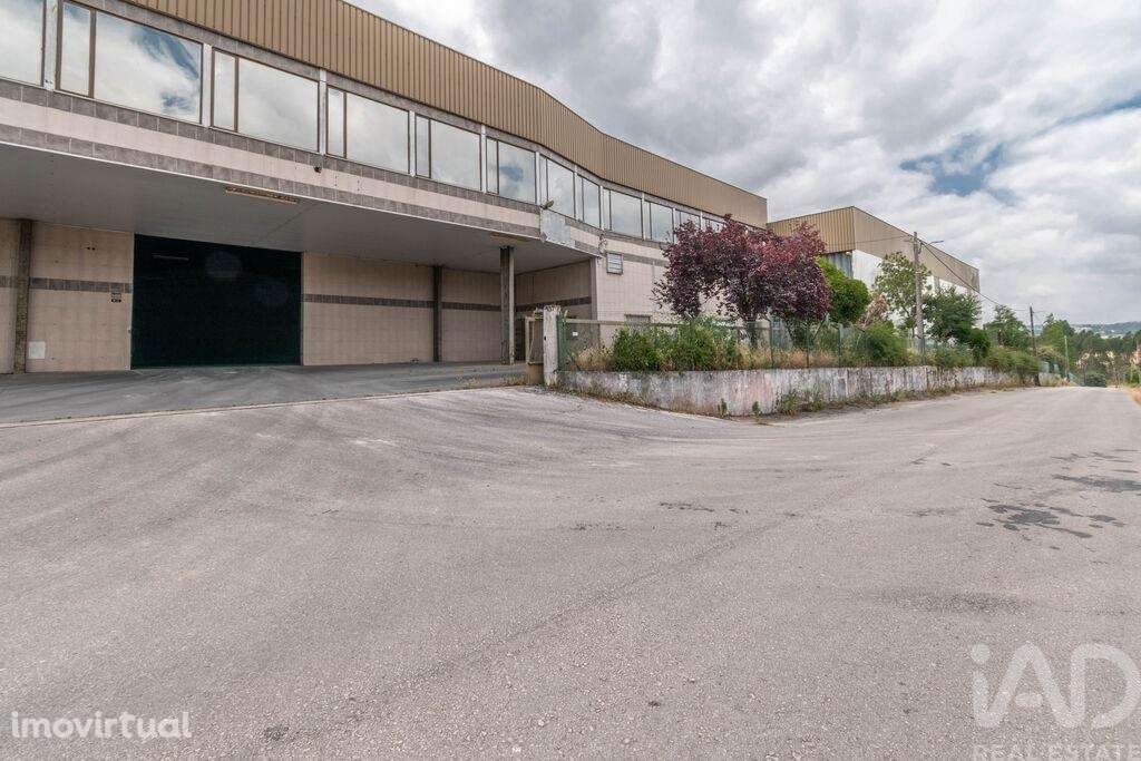 Espaço Comercial em Nossa Senhora das Misericórdias de 2764,00 m2 - Grande imagem: 3/23