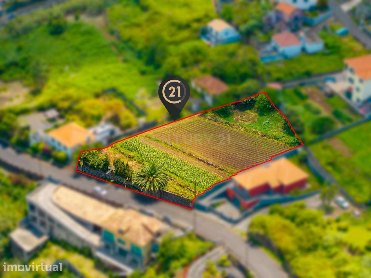 Terreno Amplo com Projeto Aprovado - São Vicente, Madeira - Grande imagem: 4/19