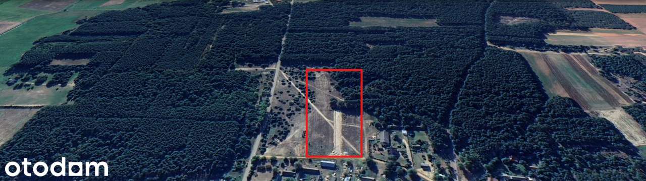 Działki budowlane MPZP prąd +woda spokojna okolica 70km od Warszawy - Pełny obrazek: 2/13