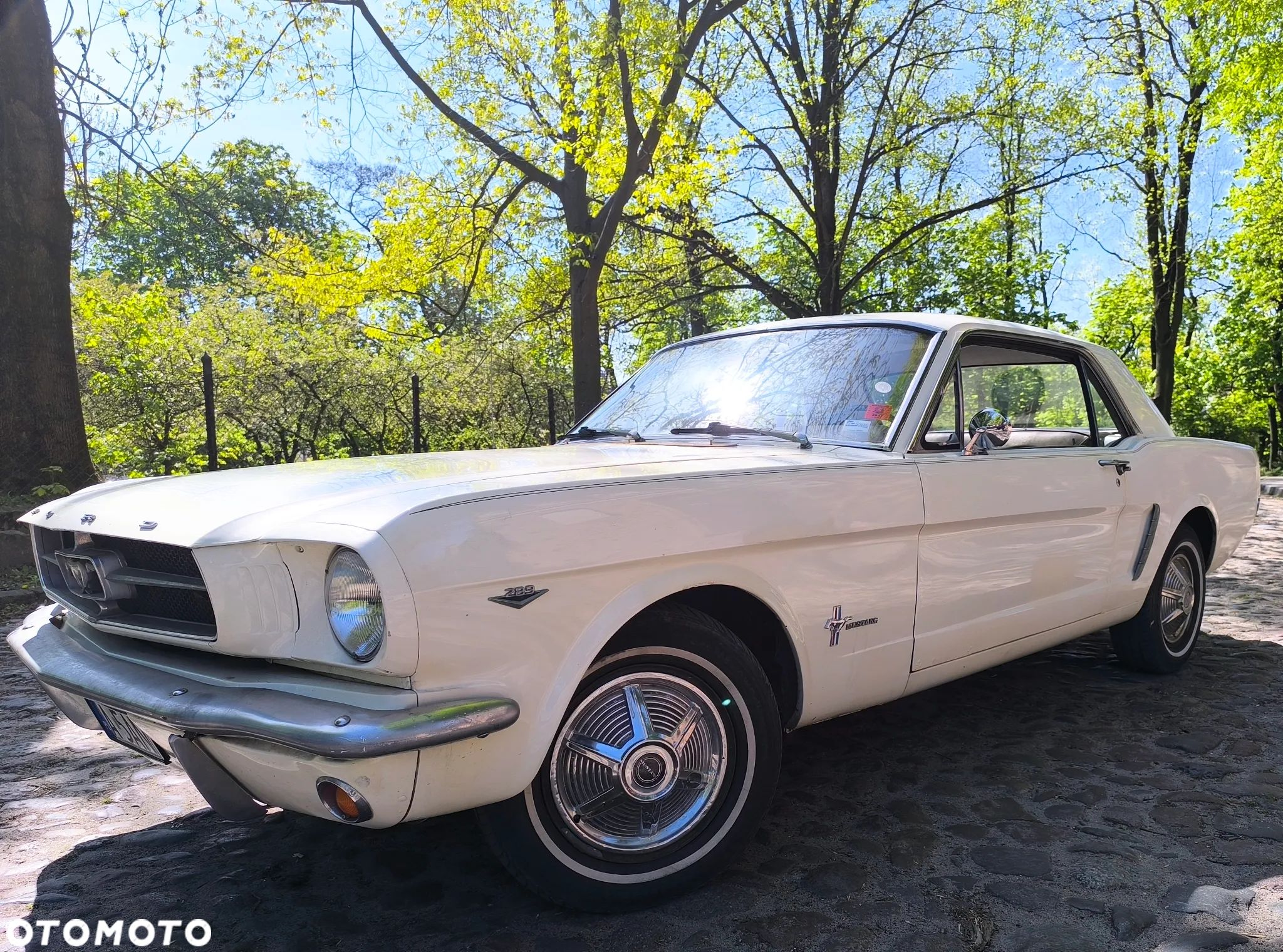 Ford Mustang - 1
