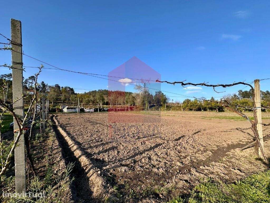 Terreno agrícola, Ponte - Grande imagem: 5/33