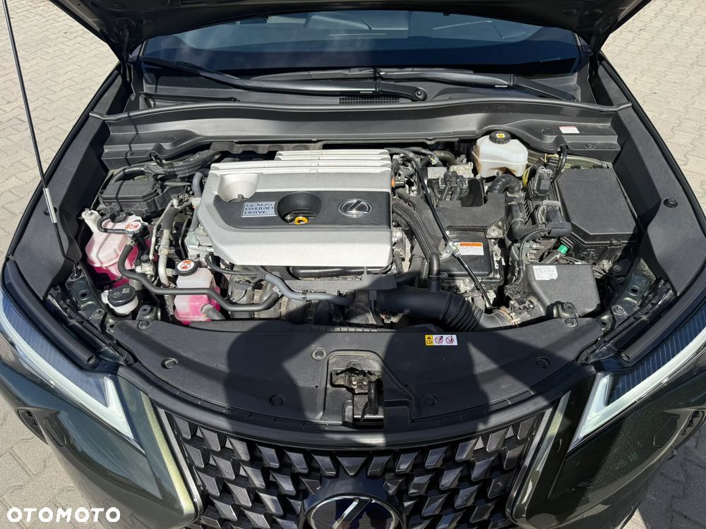 Lexus UX 250h F Sport 2WD - 20
