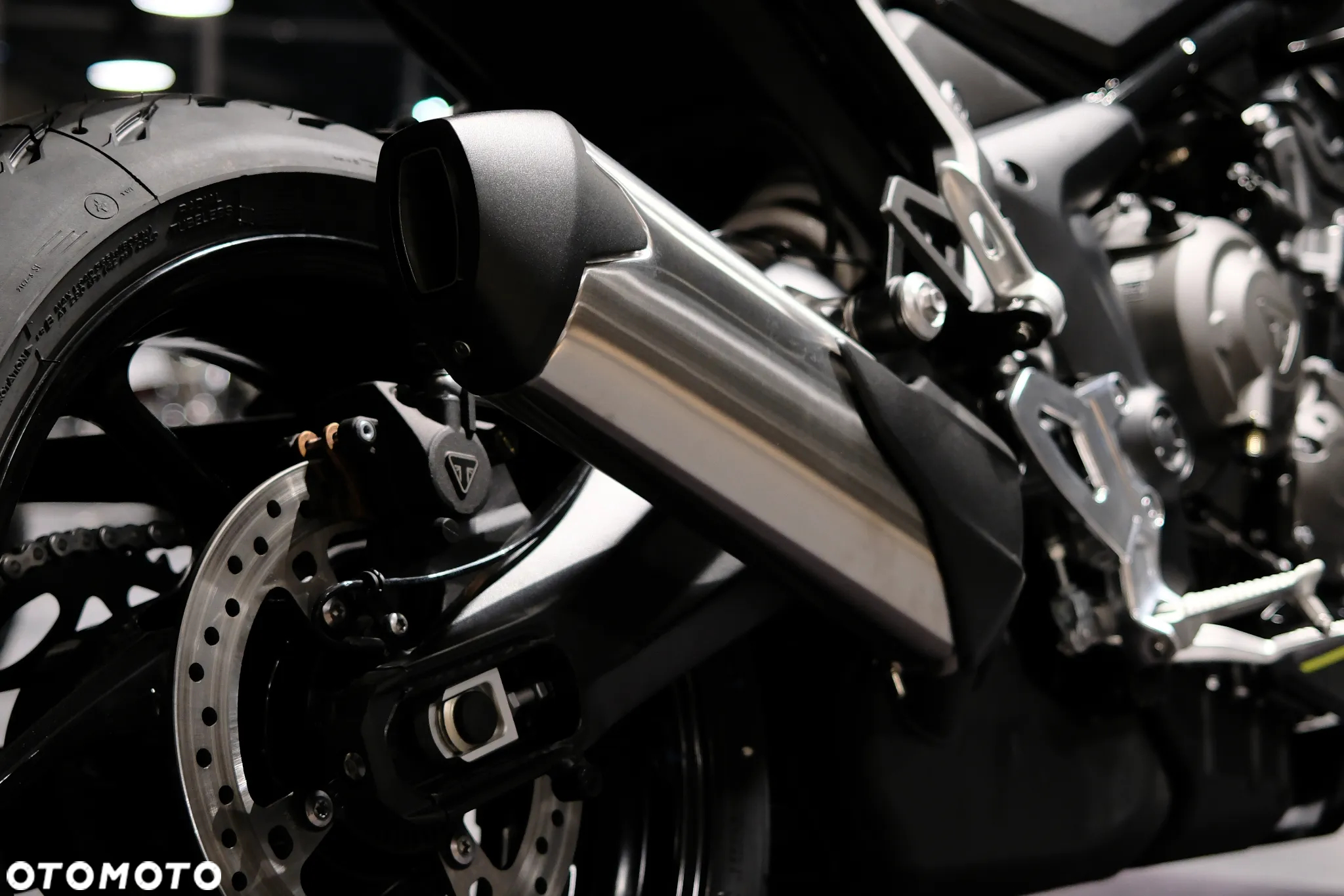 Triumph Tiger - 13
