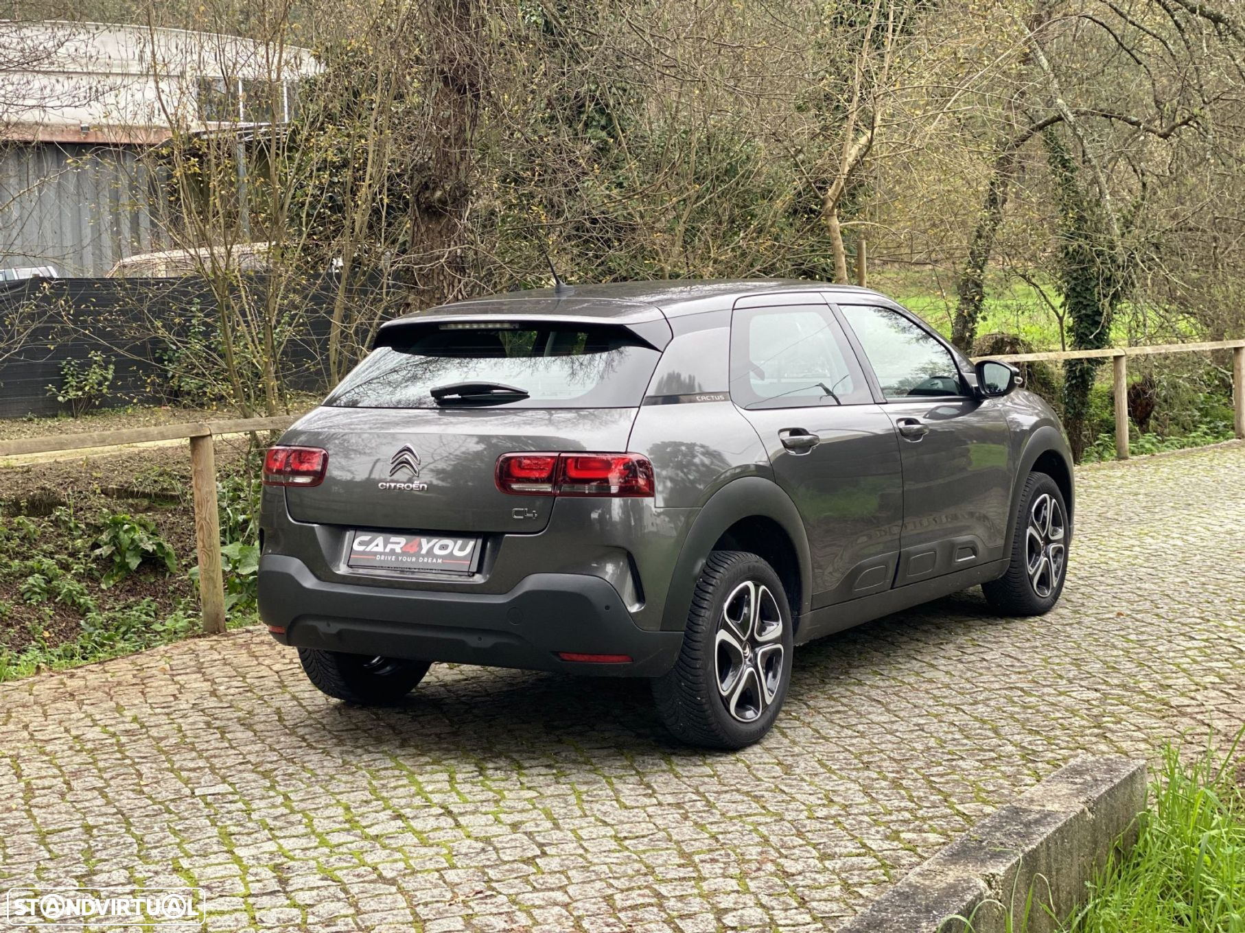 Citroën C4 Cactus 1.2 PureTech Shine - 10