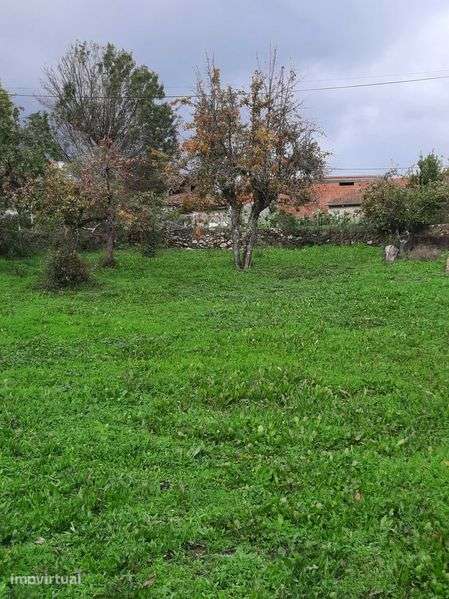 Casa para recuperar com logradouro e artigo anexo - Grande imagem: 5/11