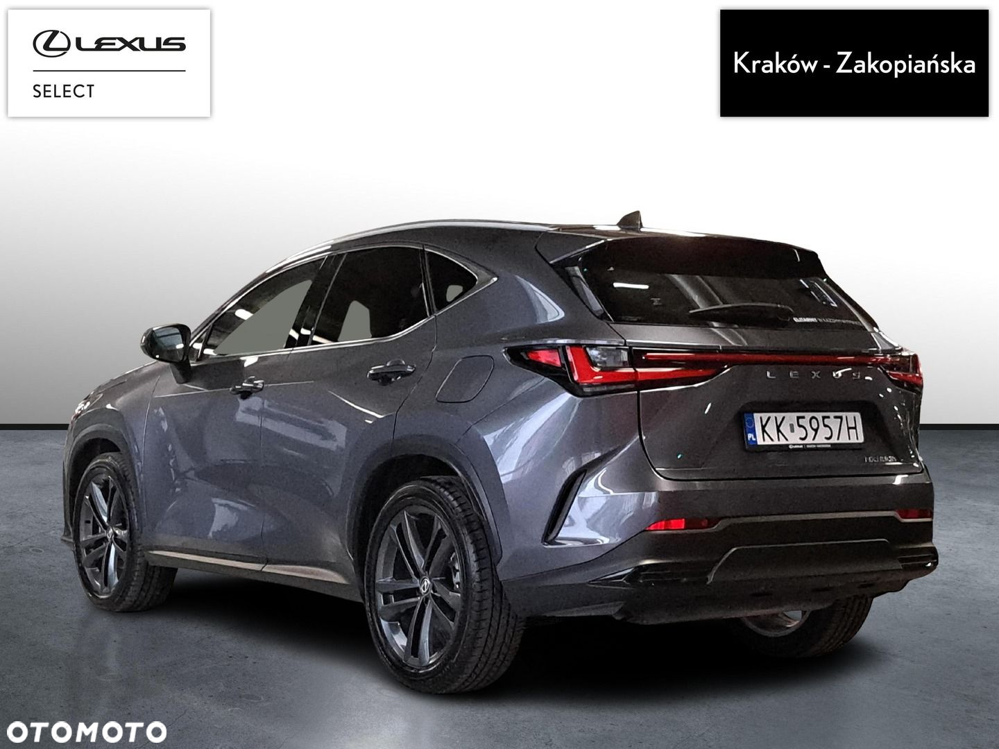 Lexus NX - 7