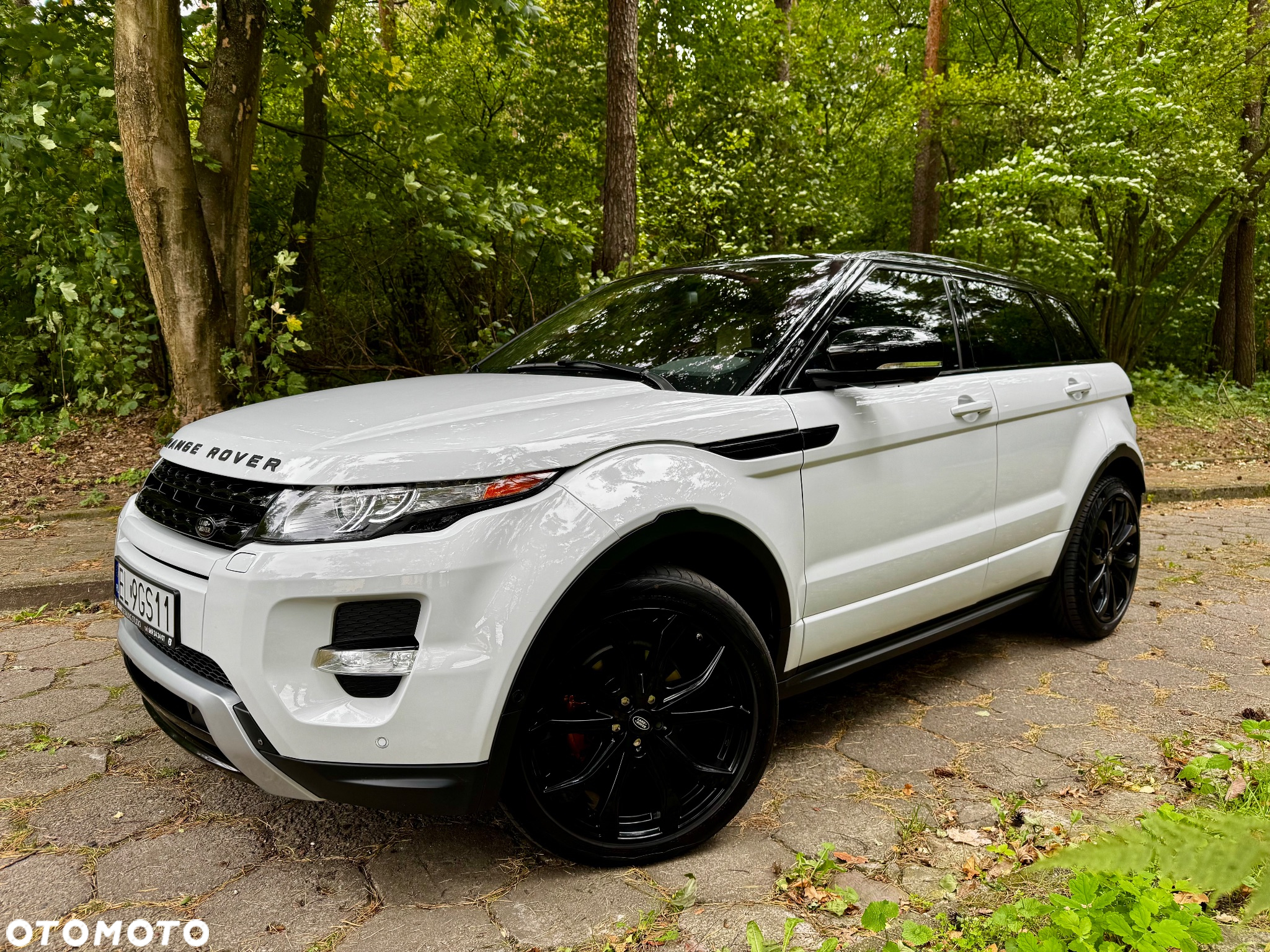 Land Rover Range Rover Evoque 2.0Si4 SE Dynamic - 4
