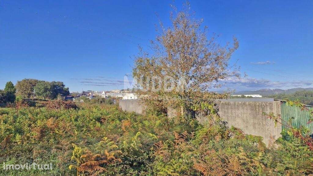 Terreno Plano com Óptima Localização – Cucujães, Oliveira de Azeméis - Grande imagem: 3/6